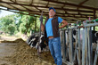 farmer man has back pain while working on cow farm
