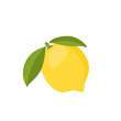 Fresh lemon icon vector illustrations
