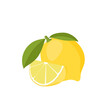 Fresh lemon icon vector illustrations
