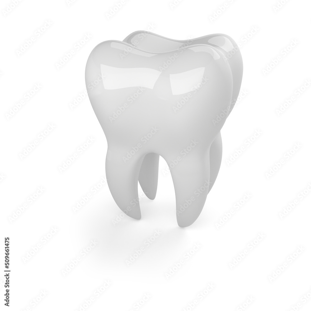 Dental model of a tooth (molar) isolated on a white background. 3D ...