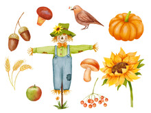 Fall Set With Wheat And Acorns. Watercolor Scarecrow Character With Bird, Sunflower And Pumpkin Isolated On White Background. Autumn Decor.