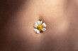 Female beautiful tummy with a chamomile flower in the navel. Perfect body shape. Parts of a female body. Torso of slim female