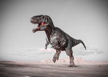 Giganotosaurus Is Running On Sunset Desert Side View