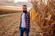 Farmer standing in corn field holding corn cobs in his hand and inspecting the crop before harvest. Front view and focus on the corn cobs.