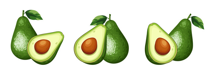 Wall Mural - Set of avocado fruit isolated on a white background. Vector illustration