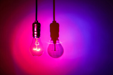 Wall Mural - light bulb