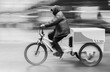 © Halytskyi Olexandr - Courier delivering an order on a bicycle