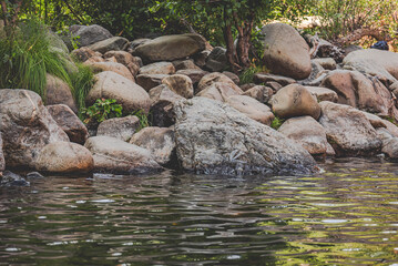 Wall Mural - river in the forest