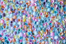 Colorful Shells Background