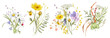 canvas print picture - Wild flowers watercolor bouquet botanical hand drawn illustration