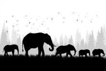 Silhouette Of A Group Of Elephants. Illustration Of An Elephant Walking On Grass In The Desert