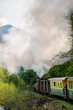 Moving steam train Mocanita in Romania