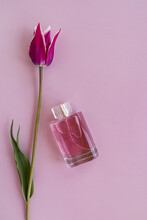 Vertical Lilac Background With A Beautiful Spring Tulip And A Crystal Bottle Of Perfume Or Tualct Water. Top View. A Copy Of The Space.