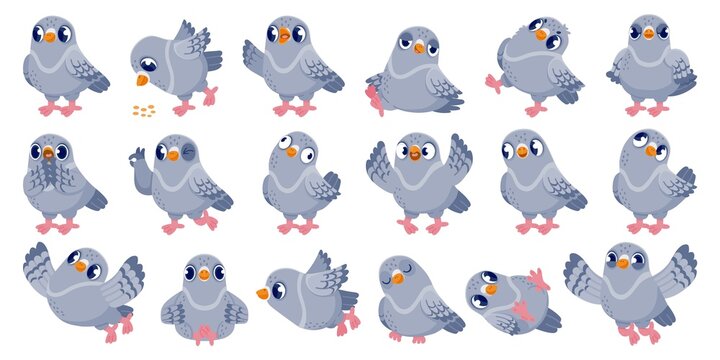 cartoon pigeon. funny bird character with various emotions in different poses, comic mascot clip art