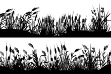 Reed Silhouette. Black Cattail Grass Strip Border, Marsh Nature Vegetation Horizontal Banners, Grassland View. Vector Parallax Background Elements