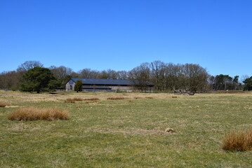 Canvas Print - Schafstall in der Lüneburger Heide im Frühling, Schneverdingen, Niedersachsen