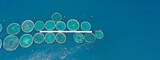 Fototapeta Kawa jest smaczna - Aerial drone ultra wide panoramic top down photo with copy space of sea bass and sea bream fishery or fish farming unit in Mediterranean calm deep blue sea