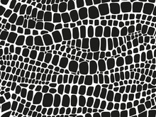 Vector Seamless Black And White Pattern Of Snake And Crocodile Skin On An Isolated White Background. Stock Texture Of The Animal. Fashion Design, Print On Fabric Wallpaper, Website Template Design.