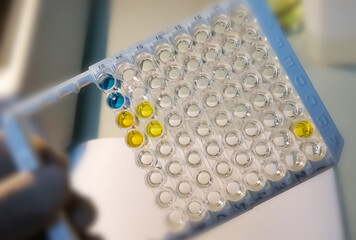 Wall Mural - Enzyme-linked immunosorbent assay (ELISA) plate, Immunology or serology testing method in medical laboratory