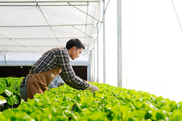 asian small business owner greenhouse hydroponic farm asian business owner hand hold tablet water system checking,Concept of growing Organic hydroponic vegetable cultivation farm green food concept