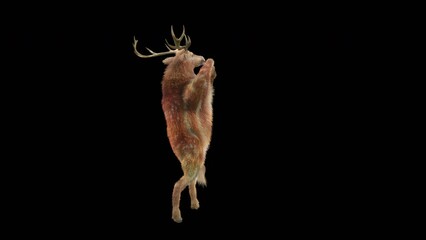 Wall Mural - deer dancing cg fur 3d rendering animal realistic cgi vfx animation loop composition 3d mapping cart