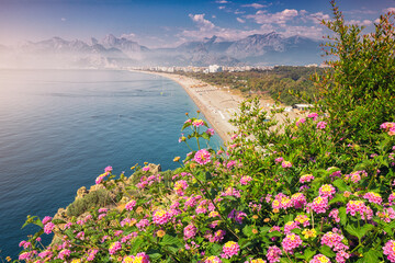 Wall Mural - Flowers blooming with famous Konyaalti beach in the background. Travel destinations of Turkey and Antalya and mediterranean riviera at springtime season