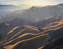 Golden Rolling Hills Bathed In The Evening Light, Northern California