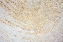 Grunge Cutting Board Wood Texture