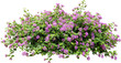 Purple Flower Shrubbery Isolated