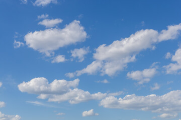 Wall Mural - Bright blue sky with light clouds. Calm texture or background