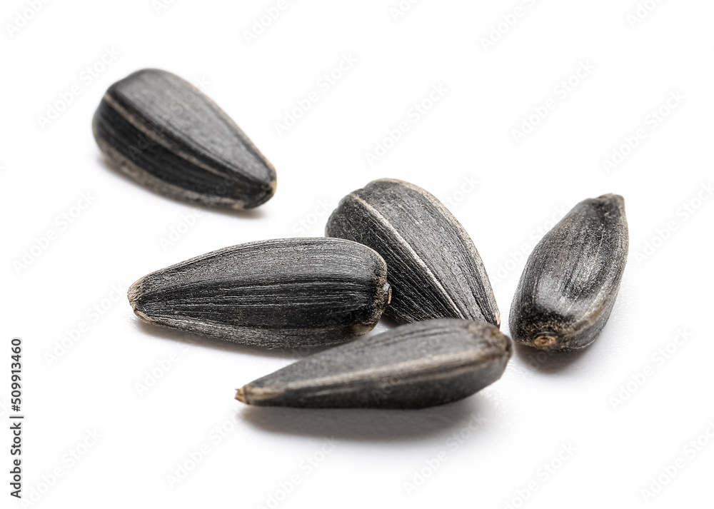Unpeeled sunflower seeds on white background