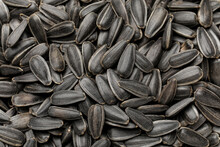 Unpeeled Sunflower Seeds As Background