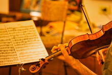 Closeup Of The Musician's Hand Is Playing A Violin In An Orchestra