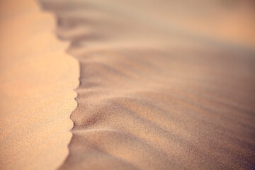 Wall Mural - Abstract pattern of the sand dune in the desert in Abu Dhabi. Closeup natural texture.