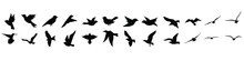 Birds Icon Vector Set. Fly Illustration Sign Collection. Nature Symbol.