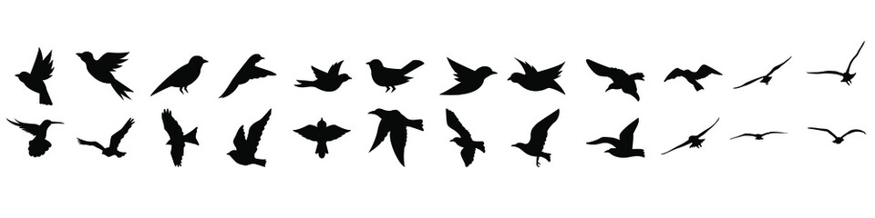 Birds icon vector set. fly illustration sign collection. nature symbol.