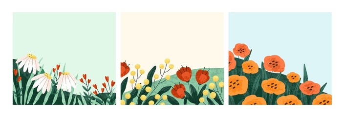 Summer flowers backgrounds set. Floral square card designs with garden blossomed flora. Postcards with blooming meadow plants, gentle wildflowers, chamomiles, poppies. Flat vector illustrations