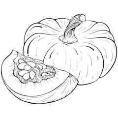Still Life with whole and quarter of a pumpkin. Vector illustrations in hand drawn sketch doodle style. Line art botanical food isolated on white. Close up element for coloring book, design, print.