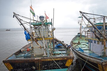 Wall Mural - Boats on the shore