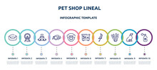 Pet Shop Lineal Concept Infographic Design Template. Included Cat Bed, Hamster Wheel, Couple Of Dogs, Extending Leads, Chimpanzee Head, Terraraium, Nymphicus Hollandicus, Aae, Spray Icons And 10