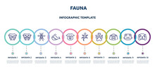 Fauna Concept Infographic Design Template. Included Bulldog Head, Angry Bulldog Face, Big Mosquito, Big Whale, Pig Head, Gecko, Canine Pawprint, Dog Food Bowl, Null Icons And 10 Option Or Steps.