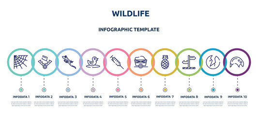 Wall Mural - wildlife concept infographic design template. included cobweb, trap, lizard, duck, syringe, wagon, pine, direction, tapir icons and 10 option or steps.