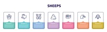 Sheeps Concept Infographic Design Template. Included Canine Pawprint, Wolf Head, Border Collie Head, Pile Of Dung, Belt And Buckle, Duck Head, Sheep Icons And 7 Option Or Steps.