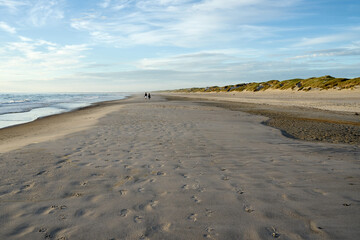 sand dunes and beach with two distant persons in denmark