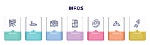 Birds Concept Infographic Design Template. Included Cobweb, Swan, Animal Aid, Sarcophagus, Kiwi, Harebell, Parrot Icons And 7 Option Or Steps.