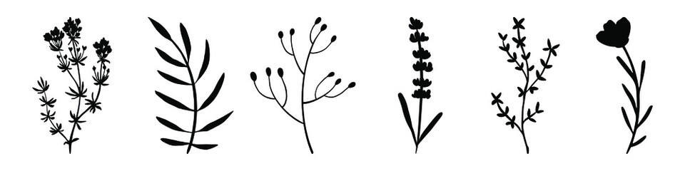 Hand drawn branches. Set of branches. Branch icon isolated. Vector illustration. Abstract branch with leaves.