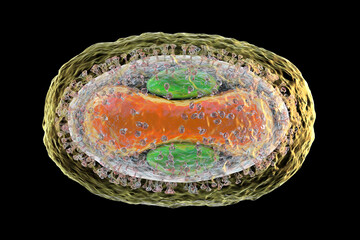 Poster - Monkeypox virus, 3D illustration