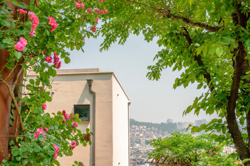 Wall Mural - Gung-dong Neighborhood Park and Yeonhui-dong city view at spring in Seoul, Korea