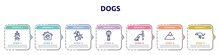 Dogs Concept Infographic Design Template. Included Roach, Pet Hotel, Witch, Hot Air Balloon, Null, Mountain Range, Dog Shitting Icons And 7 Option Or Steps.