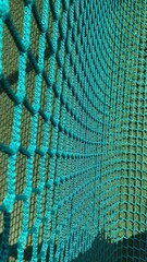 blue and green net